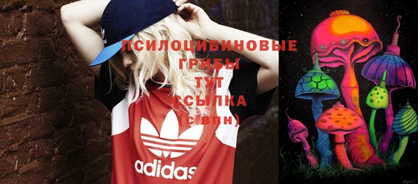 винт Бородино