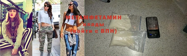 молекула духа Богданович