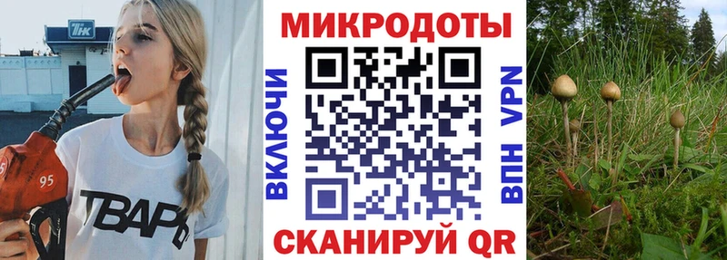 наркота  Кологрив  Галлюциногенные грибы MAGIC MUSHROOMS 